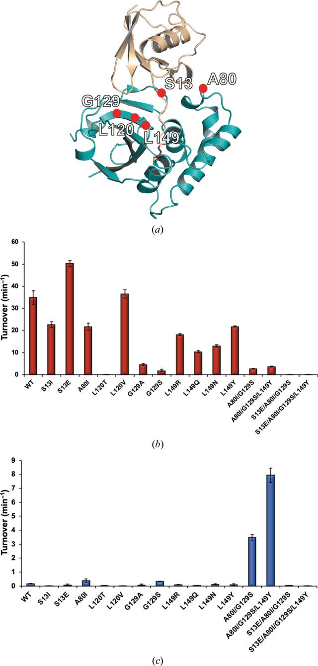 [Figure 4]