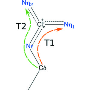 Iucr Arginine Off Kilter Guanidinium Is Not As Planar As Restraints Denote