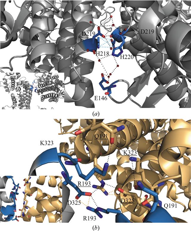 [Figure 5]