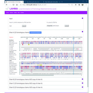 Iucr Lahma Structure Analysis Through Local Annotation Of Homology Matched Amino Acids