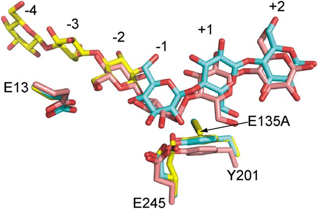 [Figure 5]