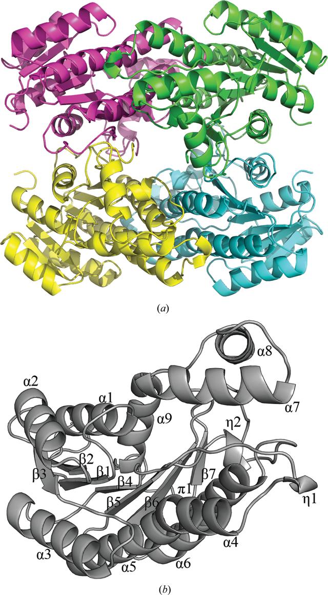 [Figure 3]