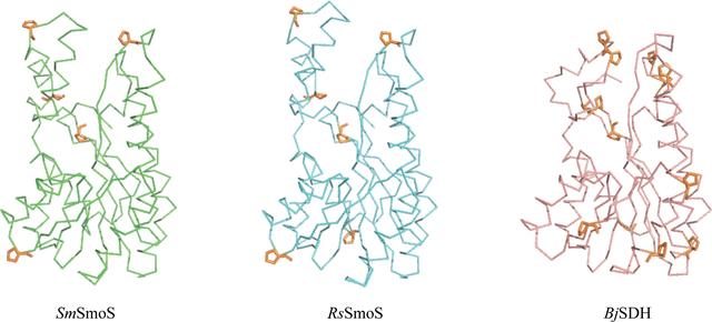 [Figure 6]