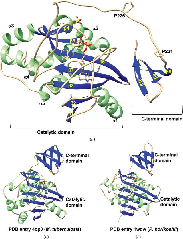 [Figure 1]