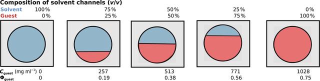 [Figure 6]