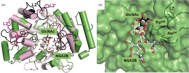 [Figure 7]