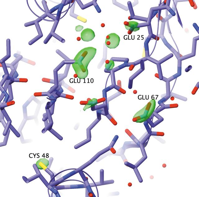 [Figure 5]