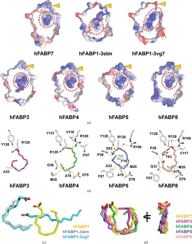 [Figure 4]