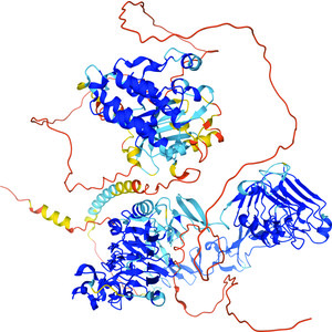 More than just pattern recognition: Prediction of uncommon protein  structure features by AI methods