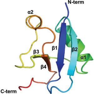 (IUCr) Helical filament structure of the DREP3 CIDE domain reveals a ...