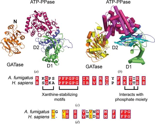 [Figure 7]