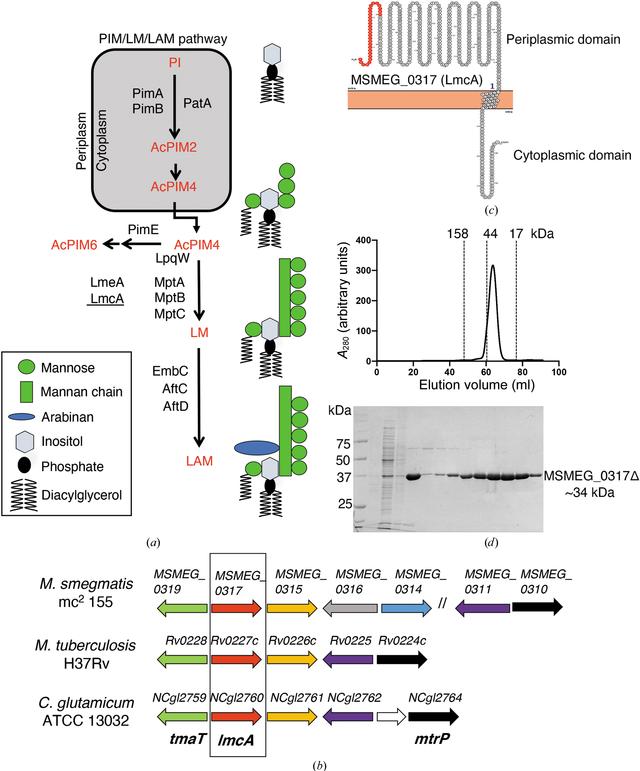 [Figure 1]