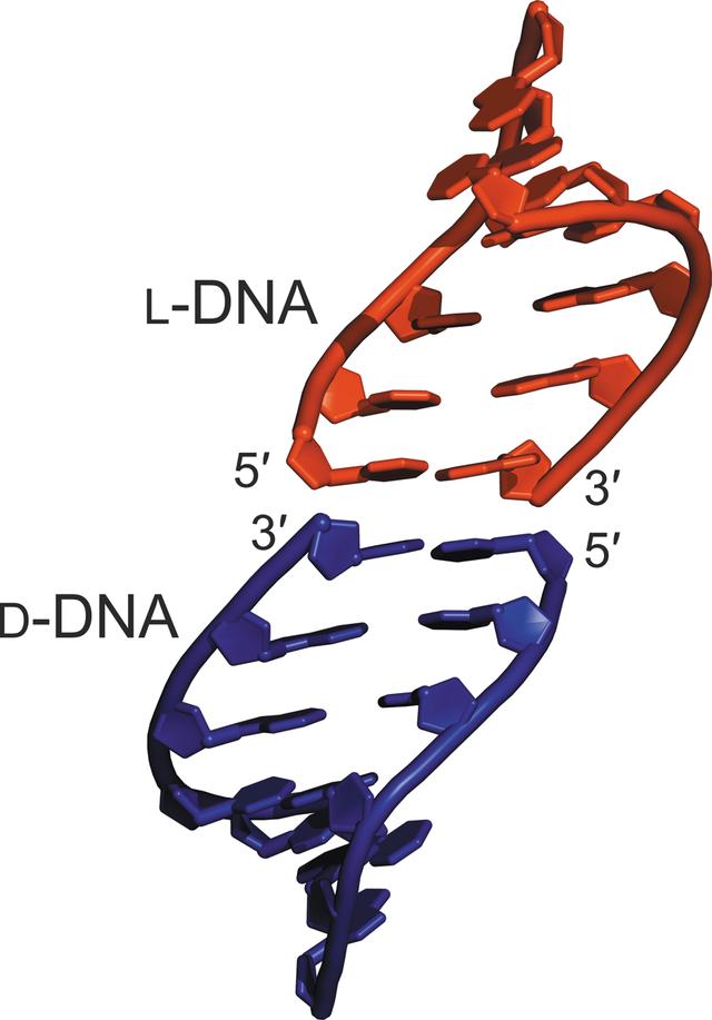 [Figure 4]