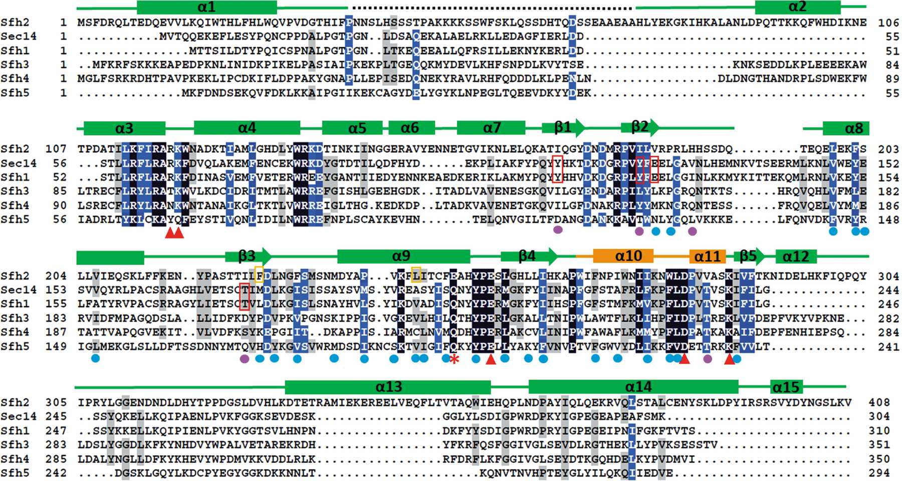 (IUCr) Structural basis of ligand recognition and transport by Sfh2, a ...