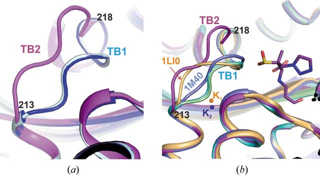 [Figure 4]
