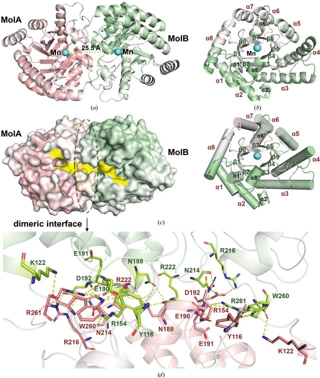 [Figure 2]