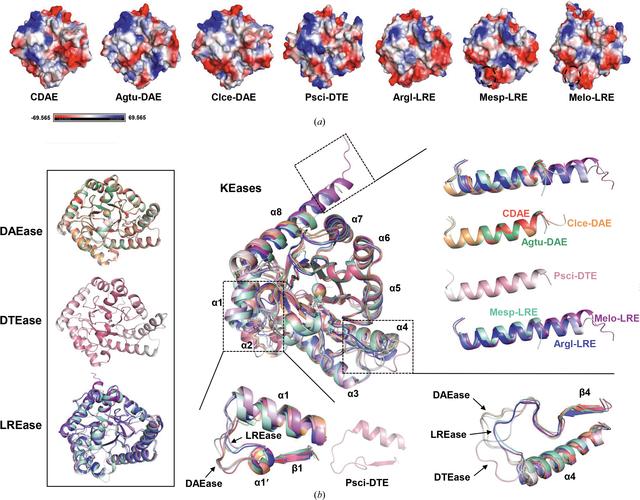 [Figure 5]