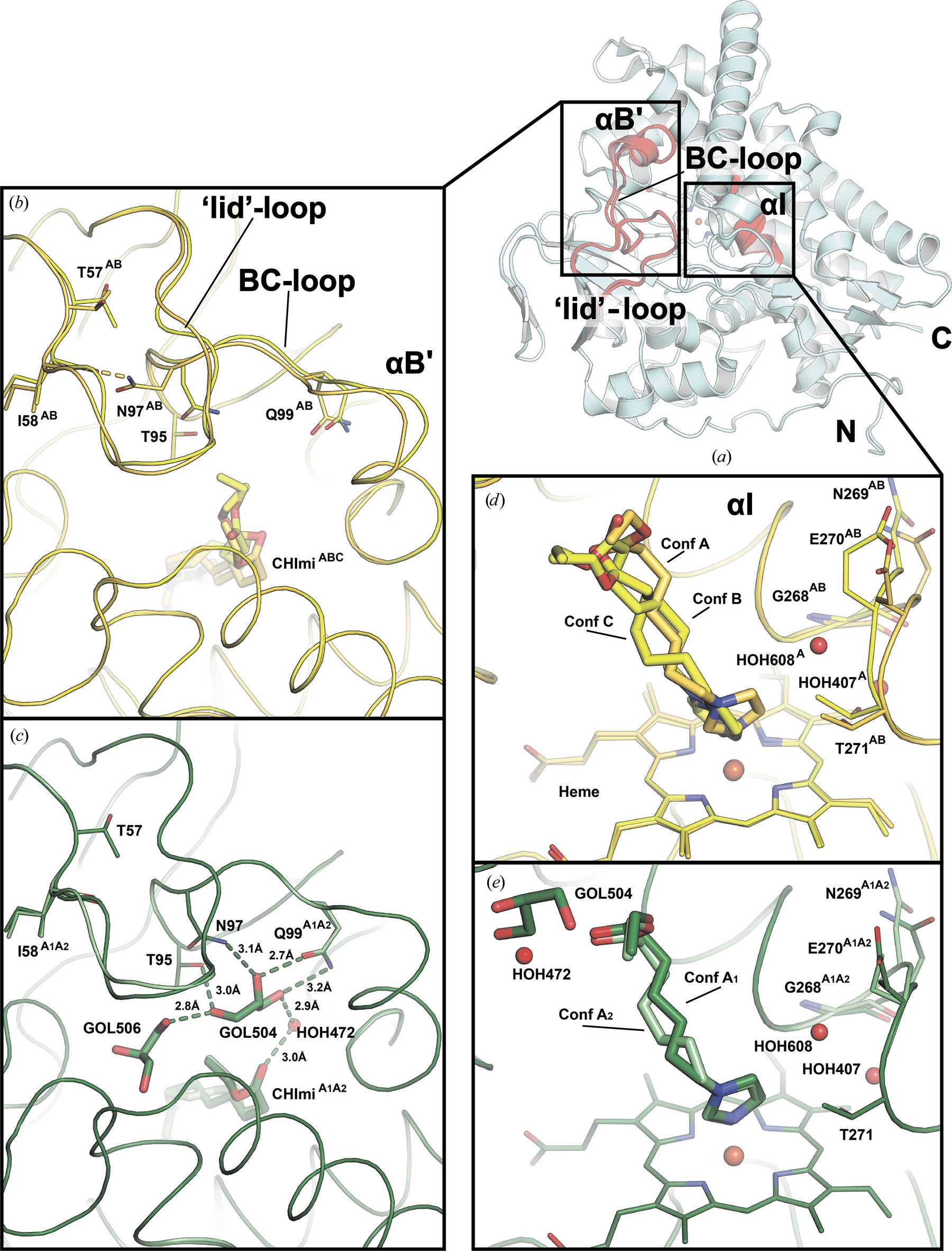 (IUCr) Structural insights into the effects of glycerol on ligand ...