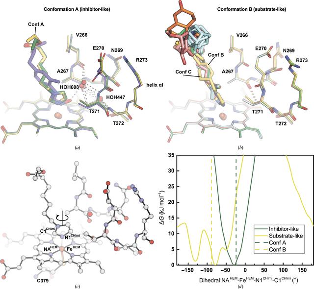 (IUCr) Structural insights into the effects of glycerol on ligand ...