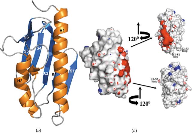 [Figure 2]