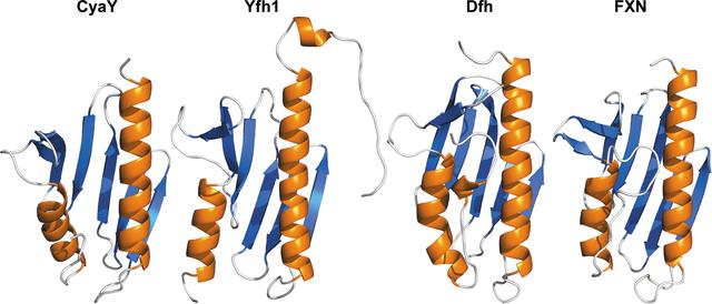 [Figure 3]