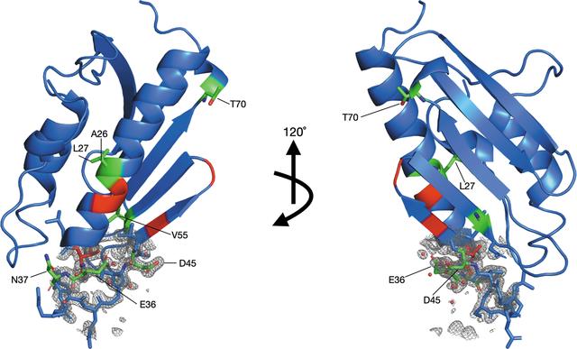 [Figure 6]