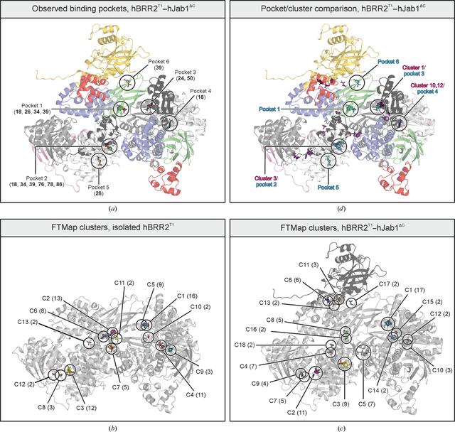 [Figure 3]