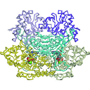 IUCr) Ambient temperature structure of phosphoketolase from