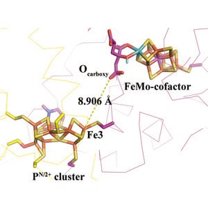 (IUCr) Statistical analyses of the oxidized P-clusters in MoFe proteins ...