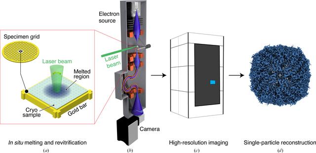 [Figure 1]