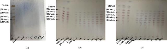 [Figure 9]