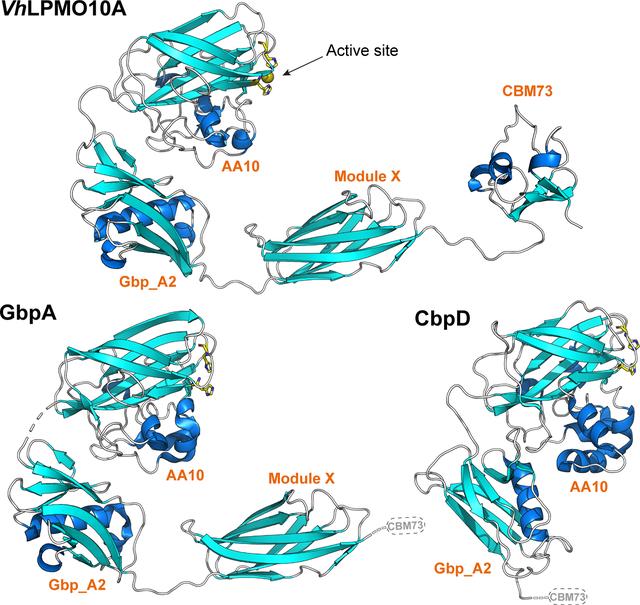 [Figure 1]