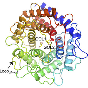 (IUCr) Structural Insights Into The Substrate Specificity And Activity ...