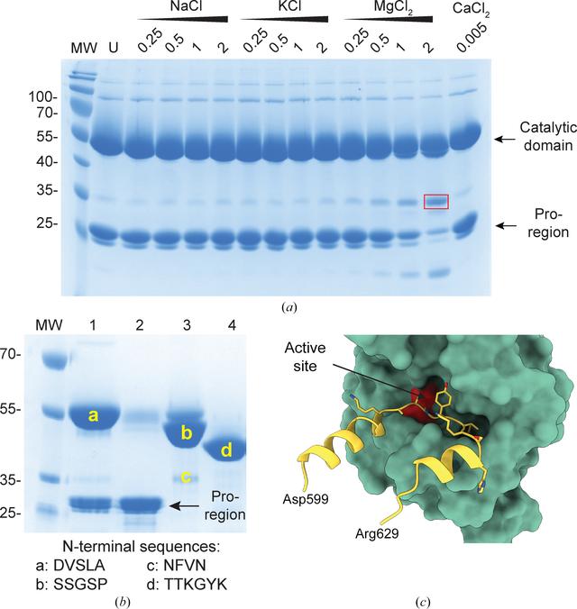 [Figure 2]