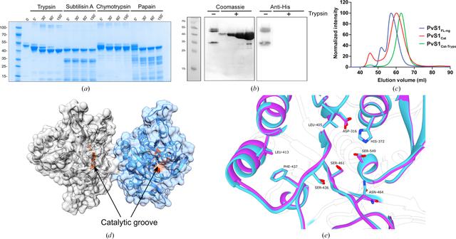 [Figure 3]