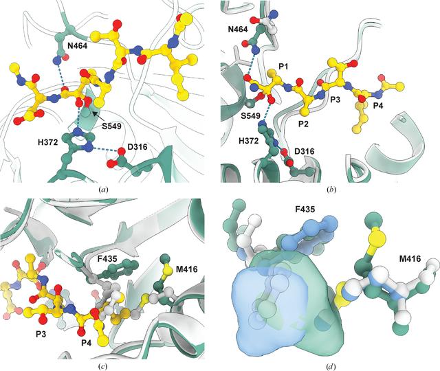 [Figure 5]