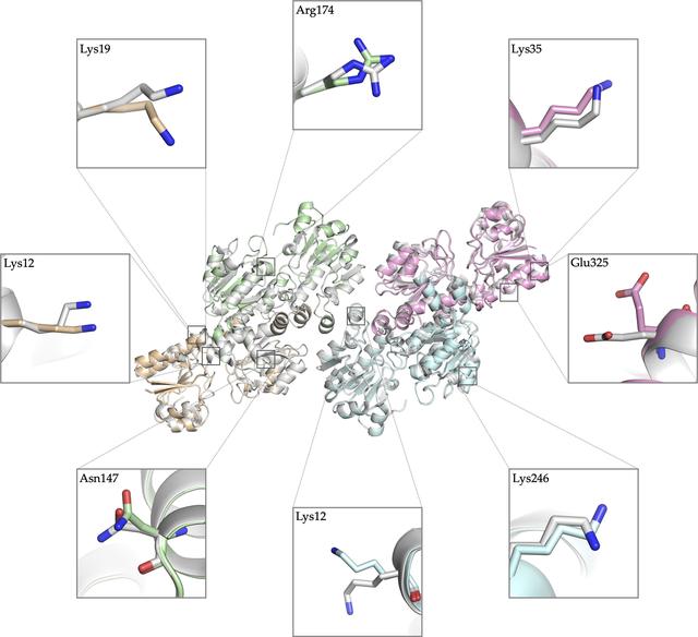 [Figure 3]