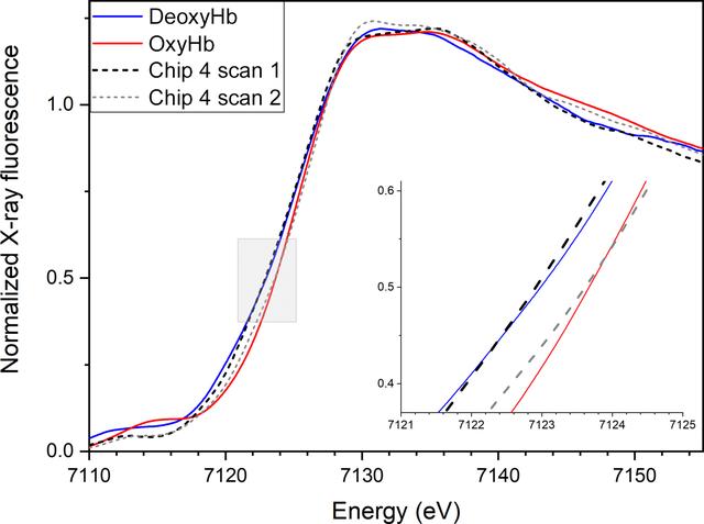 [Figure 5]