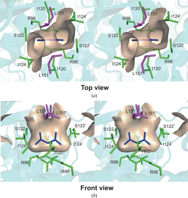 [Figure 5]