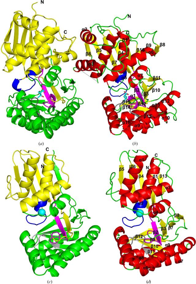 [Figure 3]