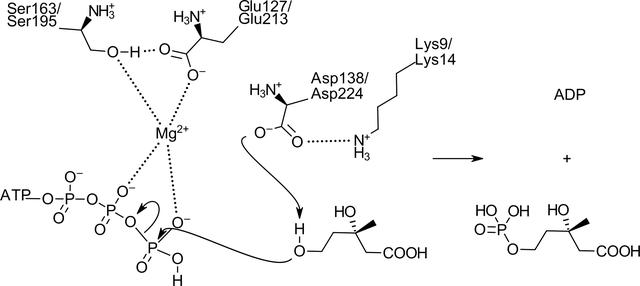 [Figure 5]