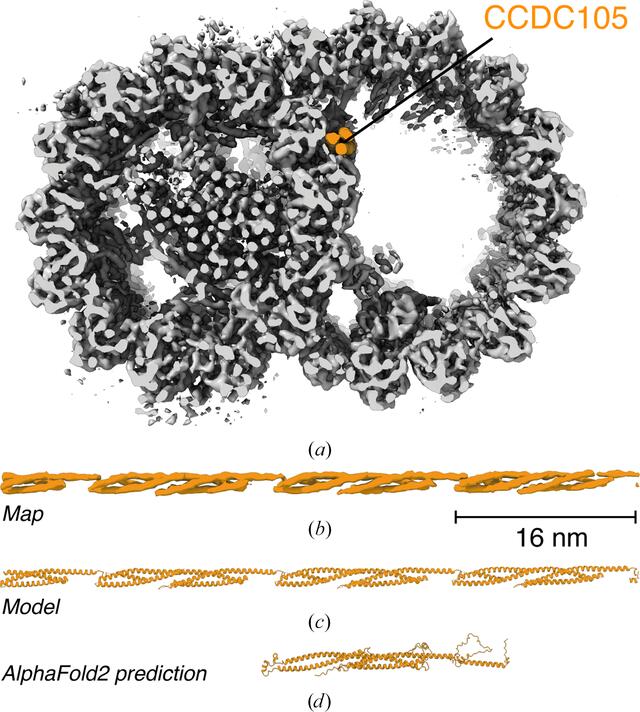 [Figure 4]