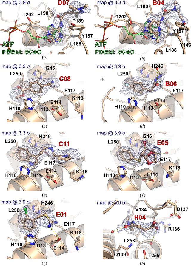 [Figure 2]