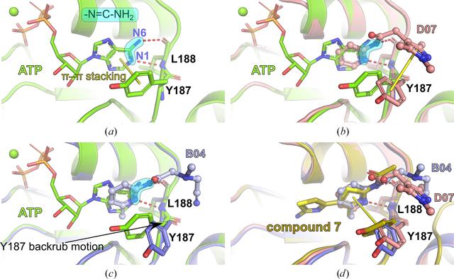 [Figure 6]