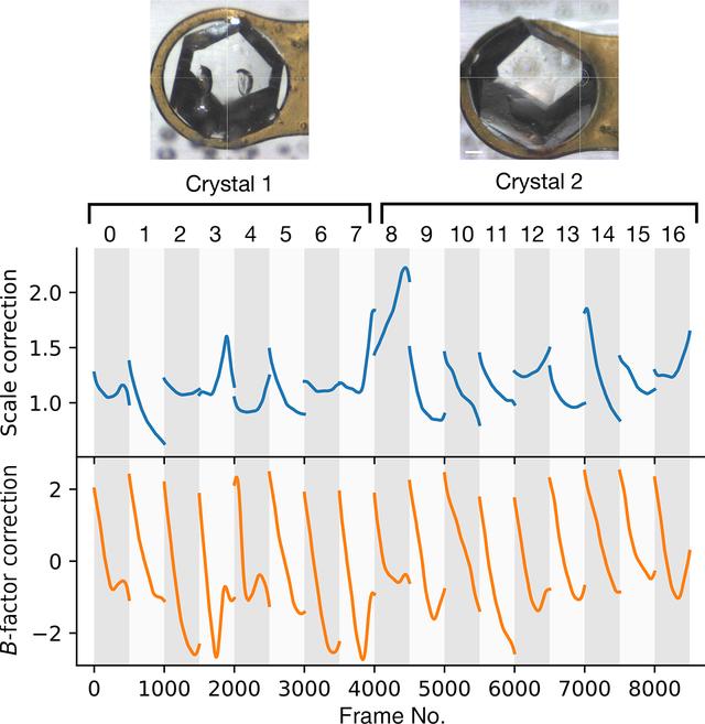 [Figure 2]