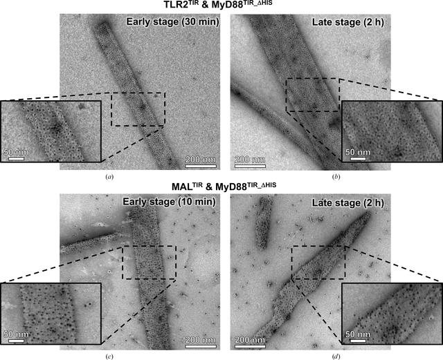 [Figure 3]