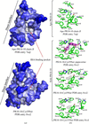 [Figure 2]