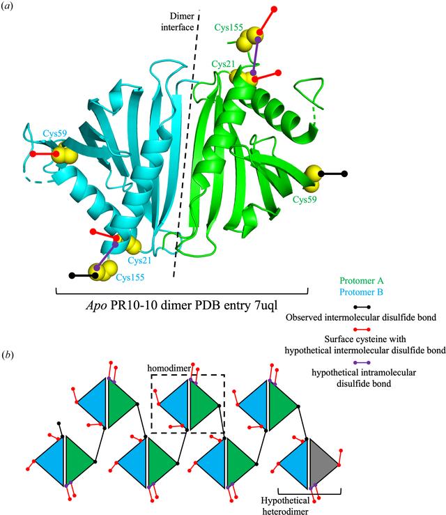 [Figure 5]