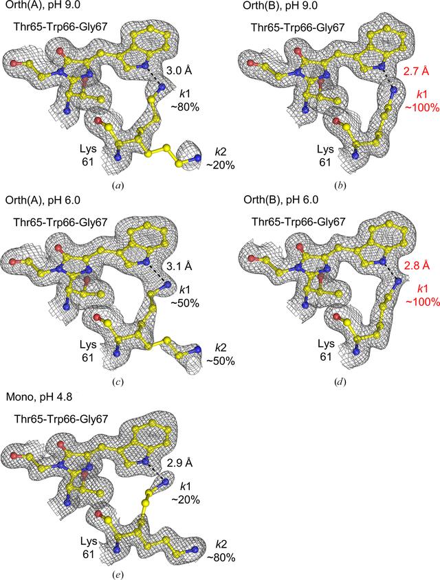 [Figure 6]