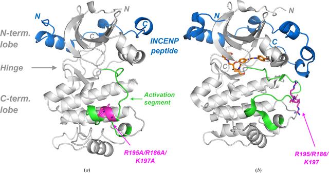 [Figure 1]